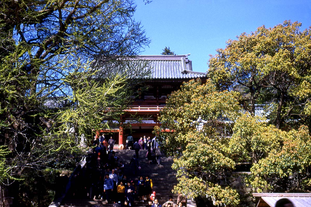 1959temple.jpg