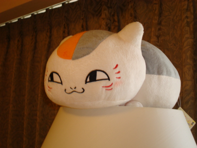 Nyanko-sensei watches over the anime goods in the room.