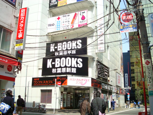 The daylight version of the Akiba-Zone where K-Books moved to.  If you know the area you can see Mandarake just down the alley across the street past K-Books.