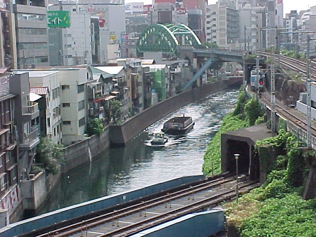 This is the view from the bridge at the Ochanomizu Station. You can see the bobble head in the distance.