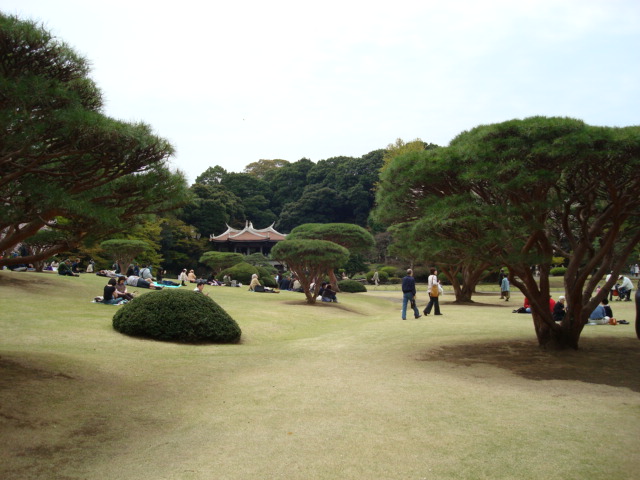 Another angle in the Japanese section of Shinjuku Gardens.