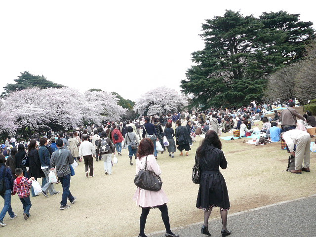 the thousands of folks visiting that day. Luckily, we came in from the other side and didn't encounter too much crowding until we reached this side of the park.