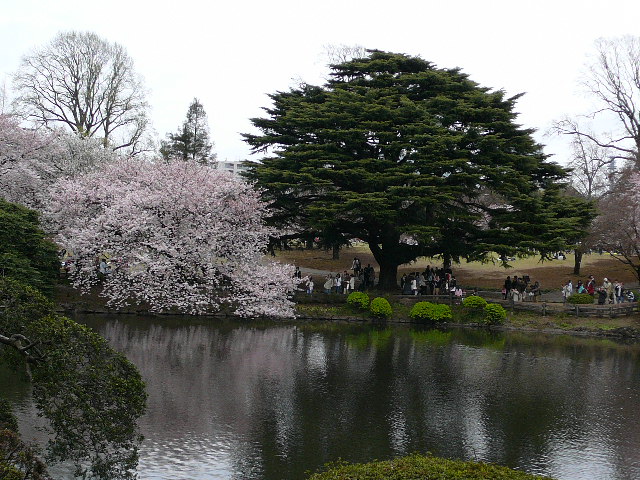 A nice pond near the center of the park.