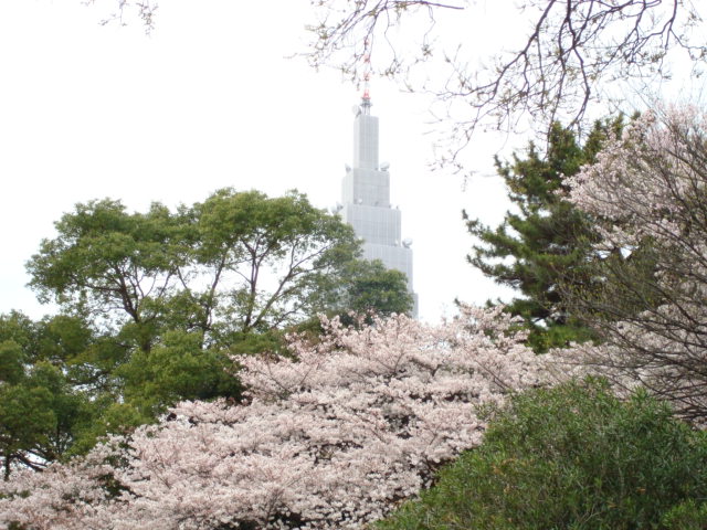 A view with a landmark I've used a few times when I've gotten lost. I call it the Empire State Building of Tokyo. I just make my way toward it if I become disoriented.